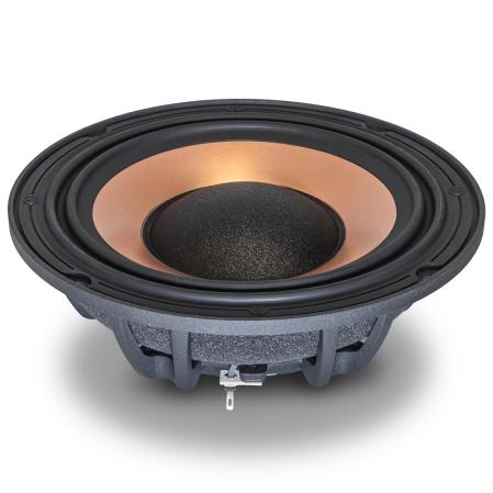 Xcelsus XXM875 DEMO - dBakuten.se