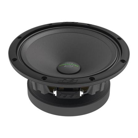 Deaf Bonce Sylvester 4x6.5