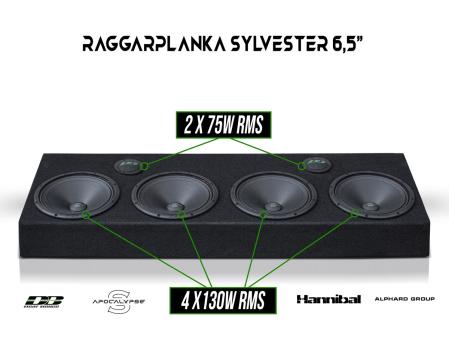 Sylvester Raggarplanka m2 65 & Slutsteg - dBakuten.se