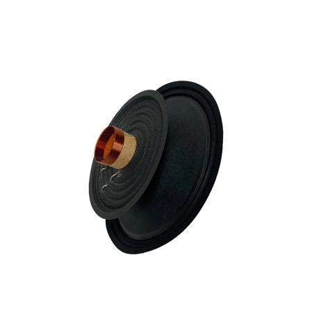 AP-M61AC Recone - dBakuten.se