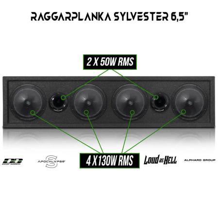 Sylvester Raggarplanka 65 & Slutsteg - dBakuten.se