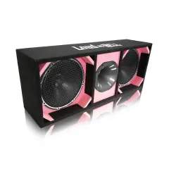 2x12" BDPRO12M-V9 Pro låda med Terror Horn - dBakuten.se