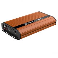 Reiss RS-2500.1D - dBakuten.se